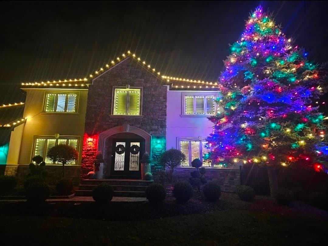 Professional Christmas light install