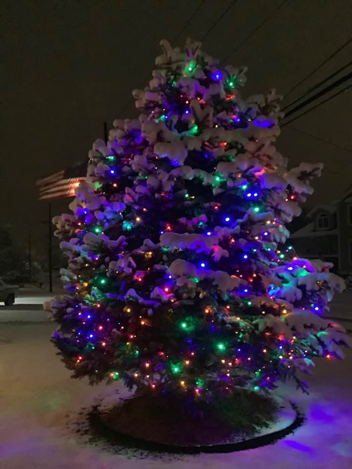 Christmas tree lighting installation